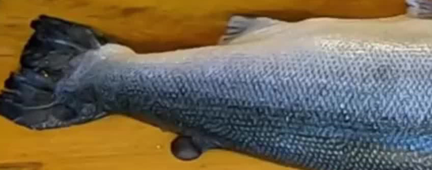 ձˮźȫˮƷӰ