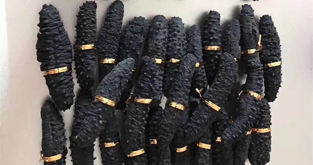 ˮƷأɺ
