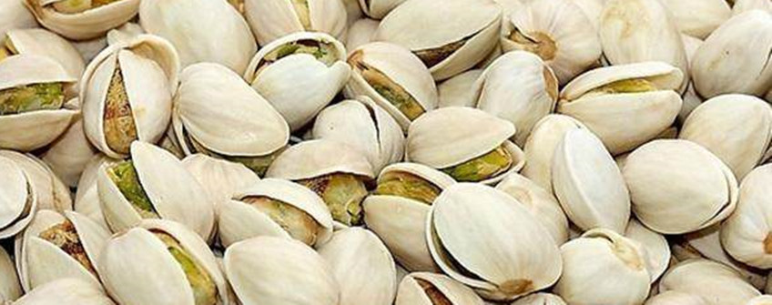 ʳڱأĹԼ
